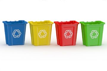 Rinvio Giornata Ecologica A Data Da Destinarsi.